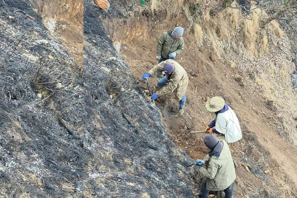 धौलागिरि आइसफल जोड्ने पदमार्ग निर्माण